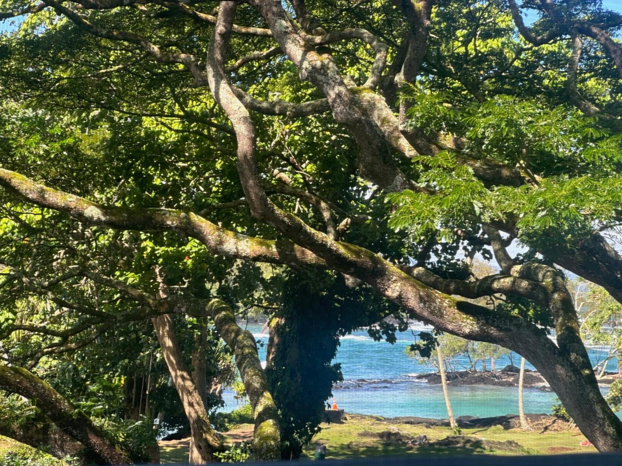 Ocean View Mauna Loa Shores Kai Ekahi #201 Next To Carlsmith Beach Park Hilo Hi Kültér fotó